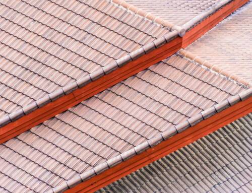 6 principais tipos de telhas de cerâmica para não errar no telhado