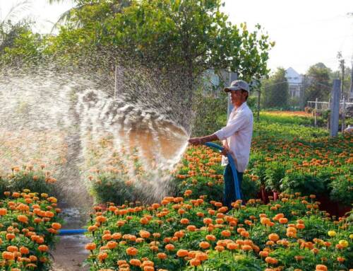 O que está incluso em um serviço de jardinagem profissional?